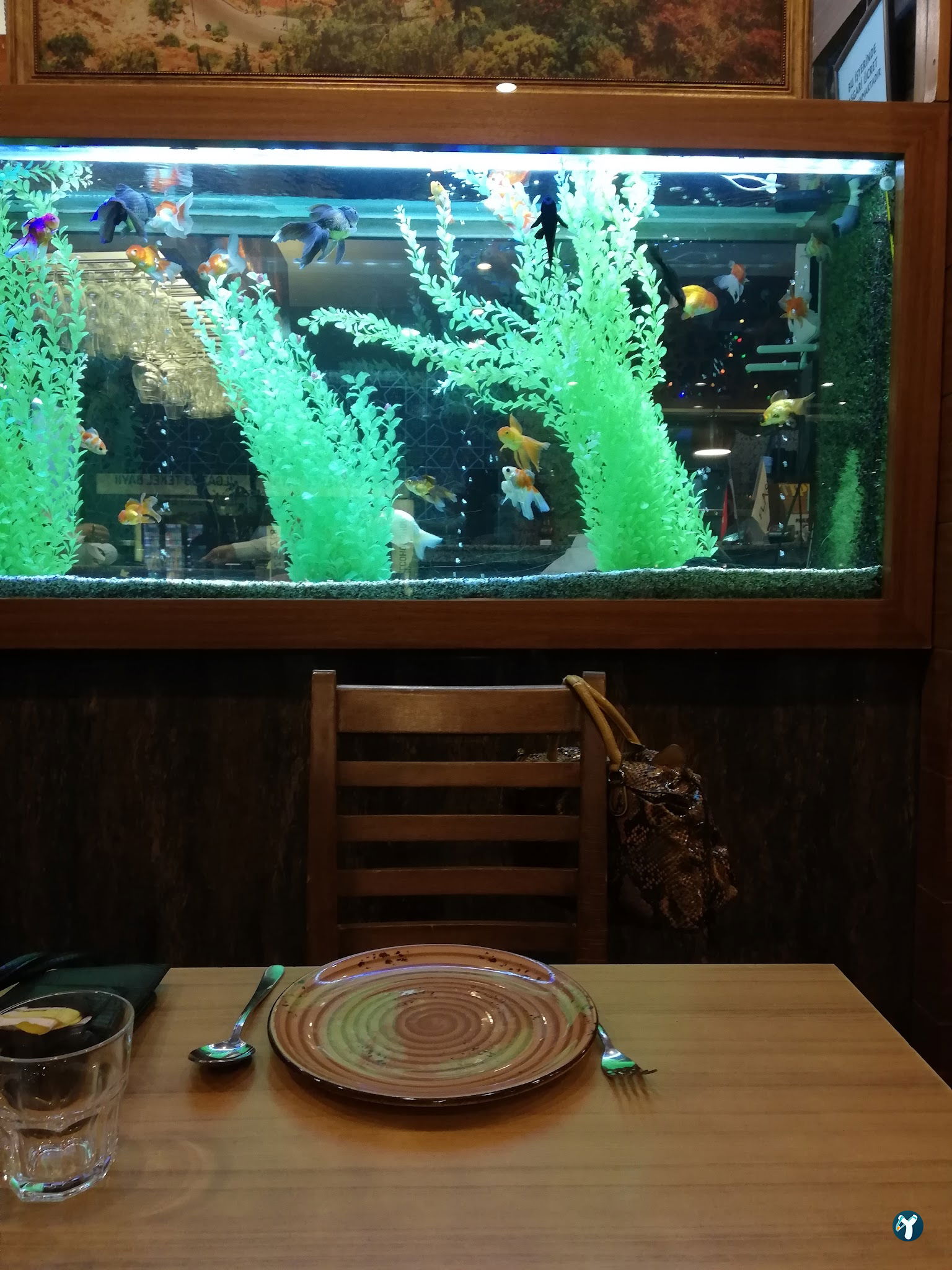Flash Restaurant