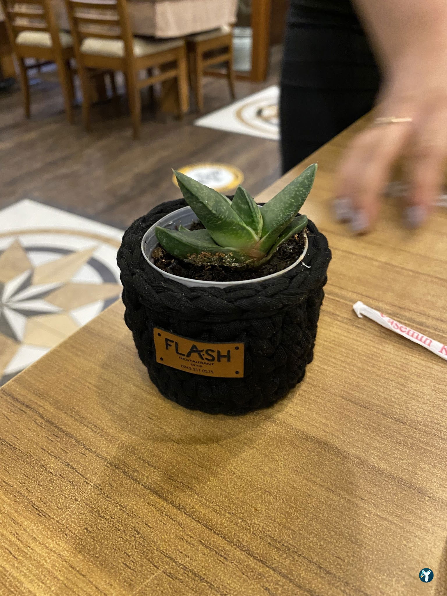 Flash Restaurant