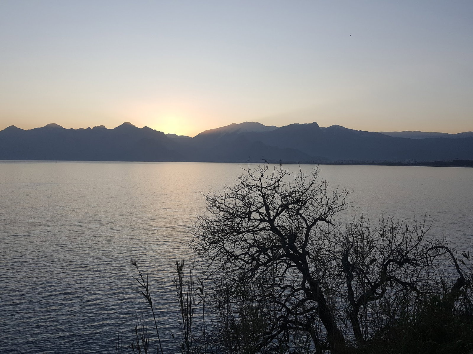 Deniz Cafe & Çay Bahçesi