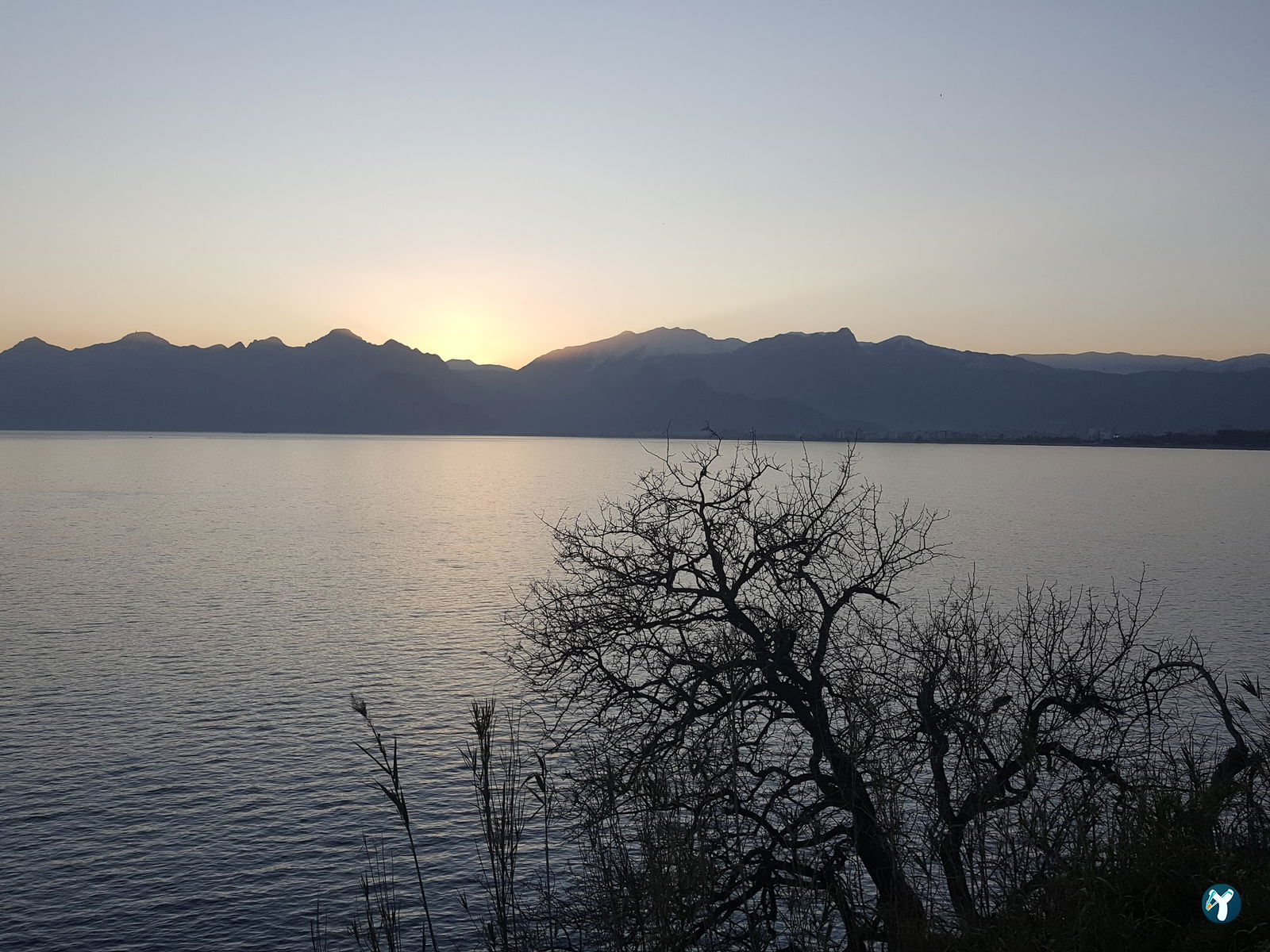 Deniz Cafe & Çay Bahçesi