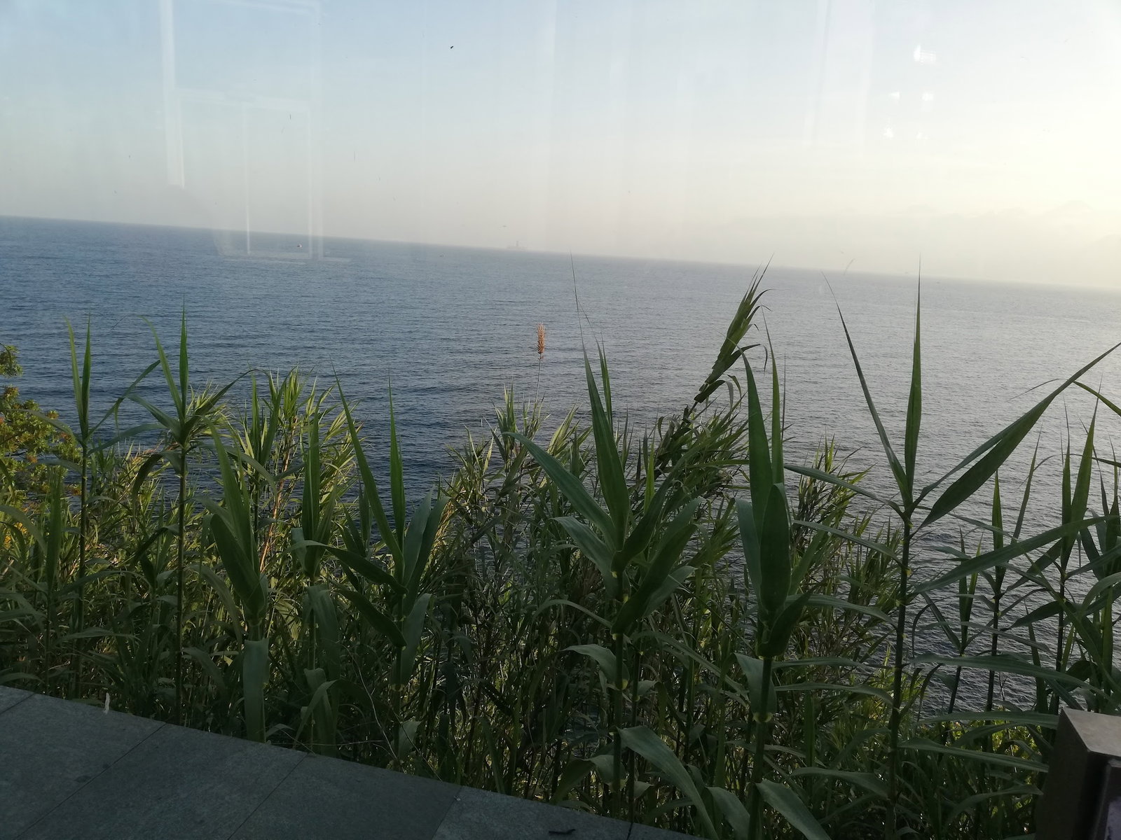 Deniz Cafe & Çay Bahçesi