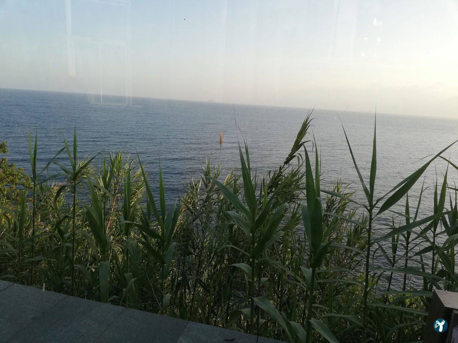 Deniz Cafe & Çay Bahçesi