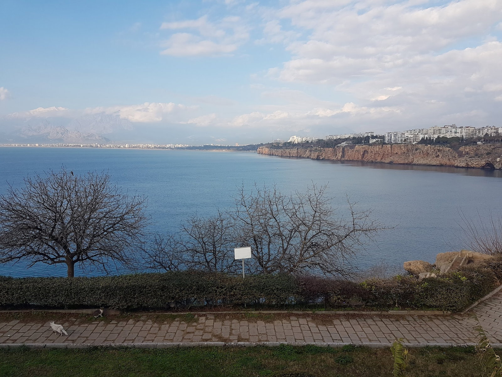 Deniz Cafe & Çay Bahçesi