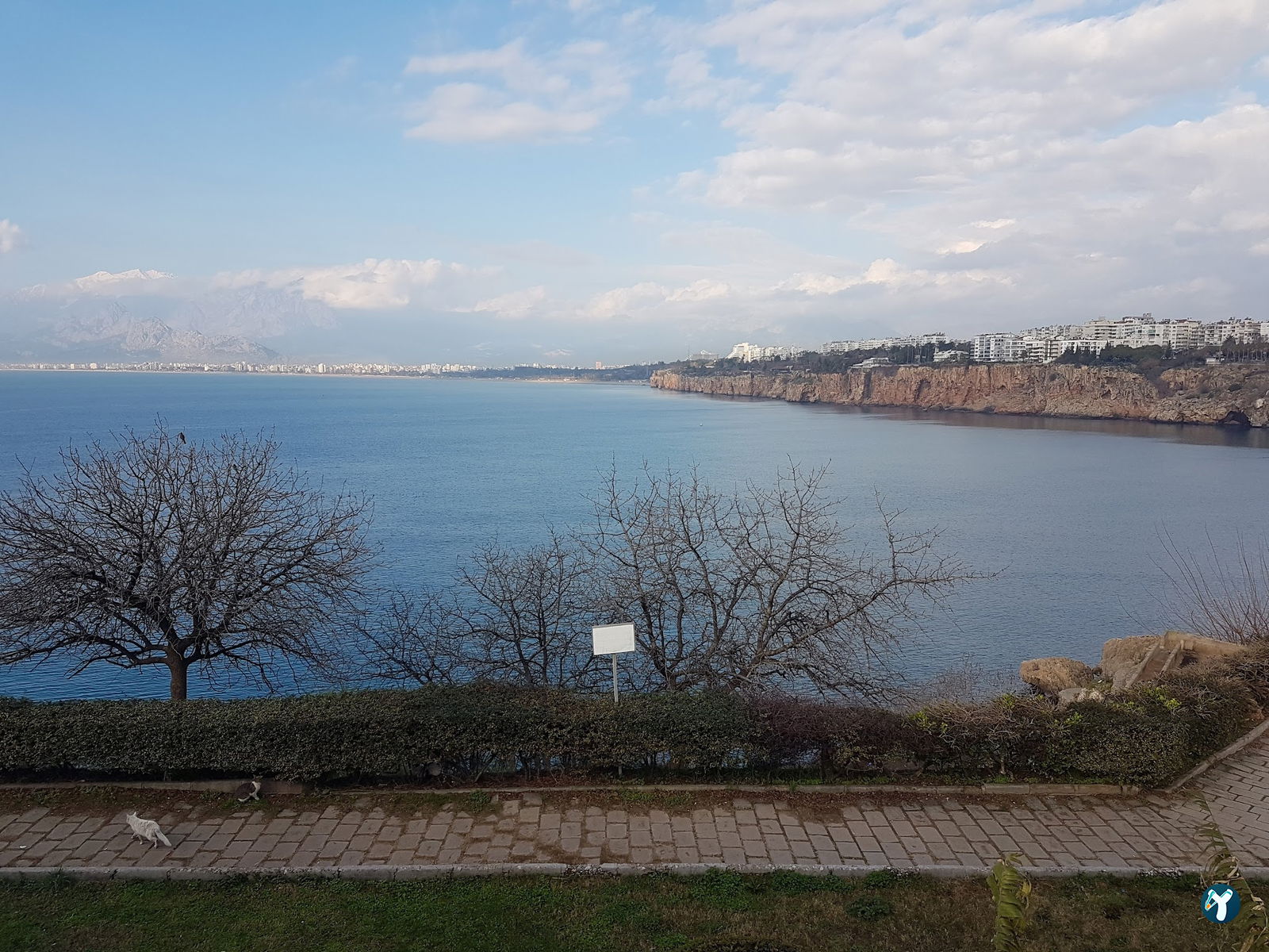 Deniz Cafe & Çay Bahçesi