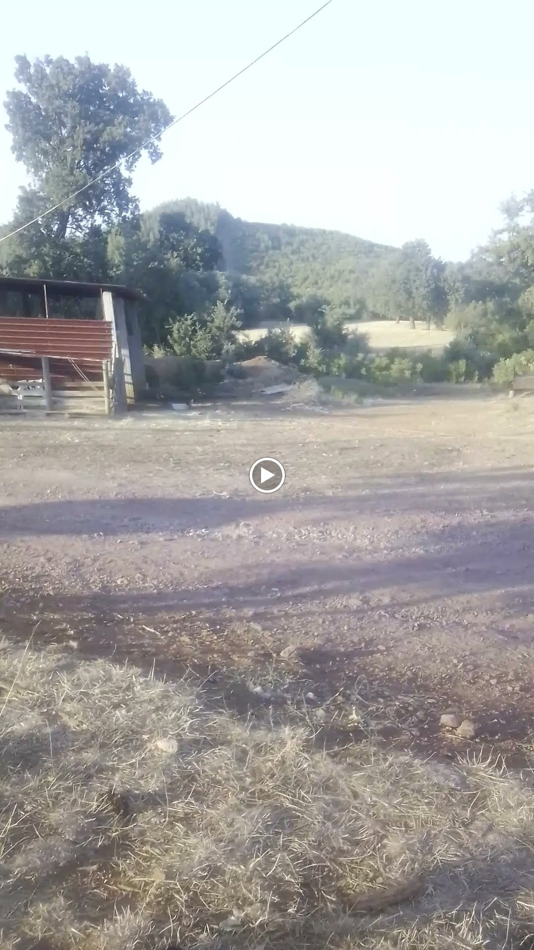 Bayram Usta Anadolu Mutfağı