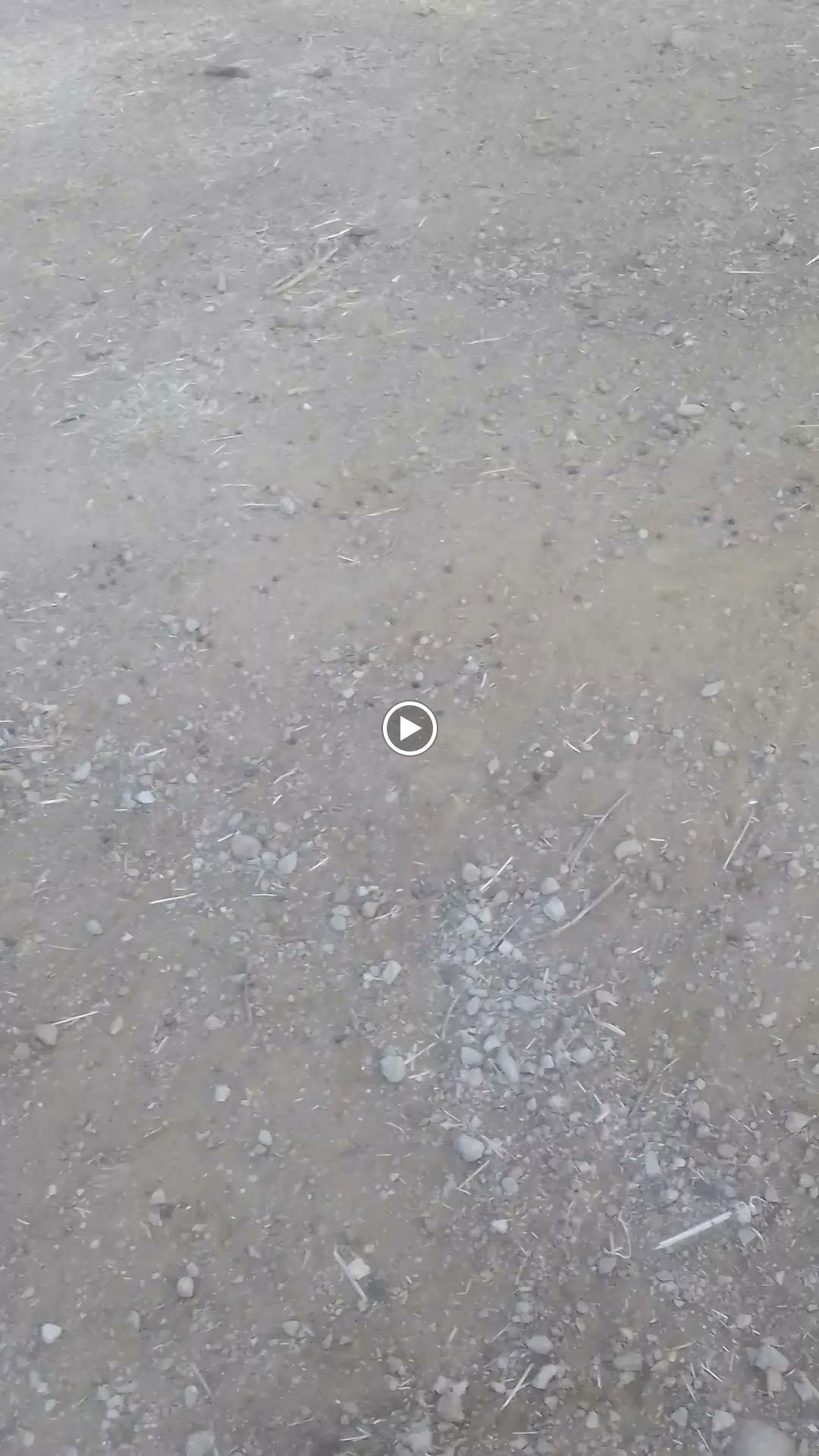 Bayram Usta Anadolu Mutfağı