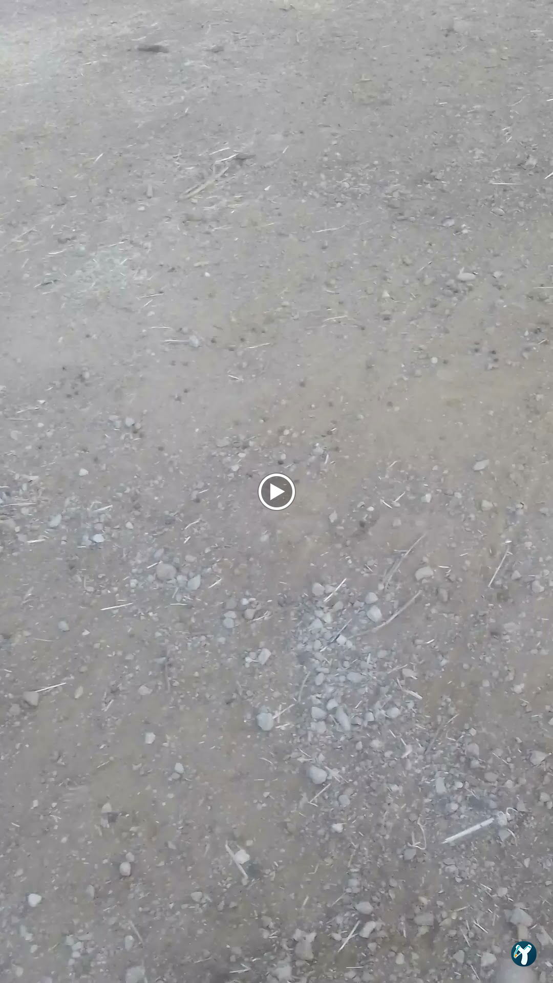 Bayram Usta Anadolu Mutfağı