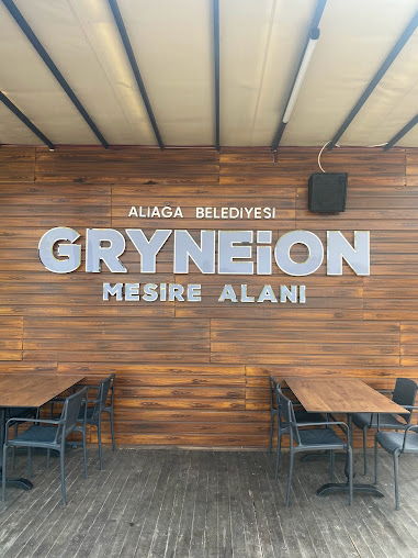 GRYNEİON (HACİÖMERLİ) MESİRE ALANI