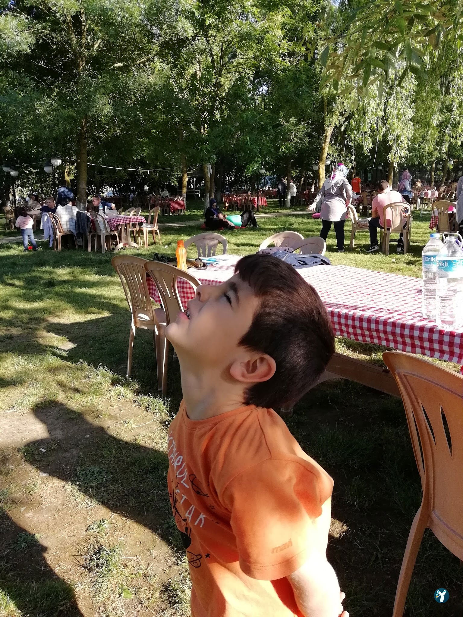 Çinar Pi̇kni̇k Alani