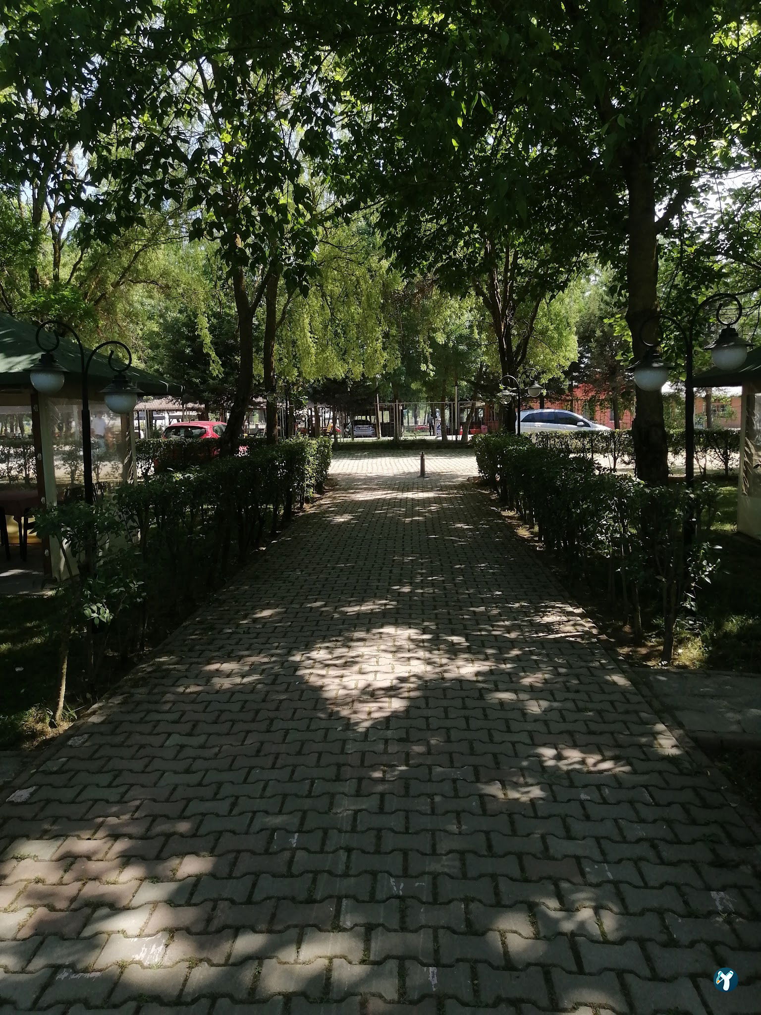 Çinar Pi̇kni̇k Alani