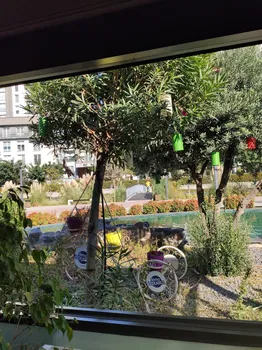 Tema Bella Vista Restaurant resimleri