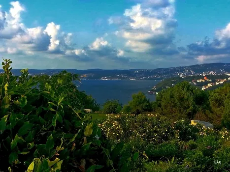 Tepe Restaurant Lounge resimleri Tepe Restaurant Lounge resimleri