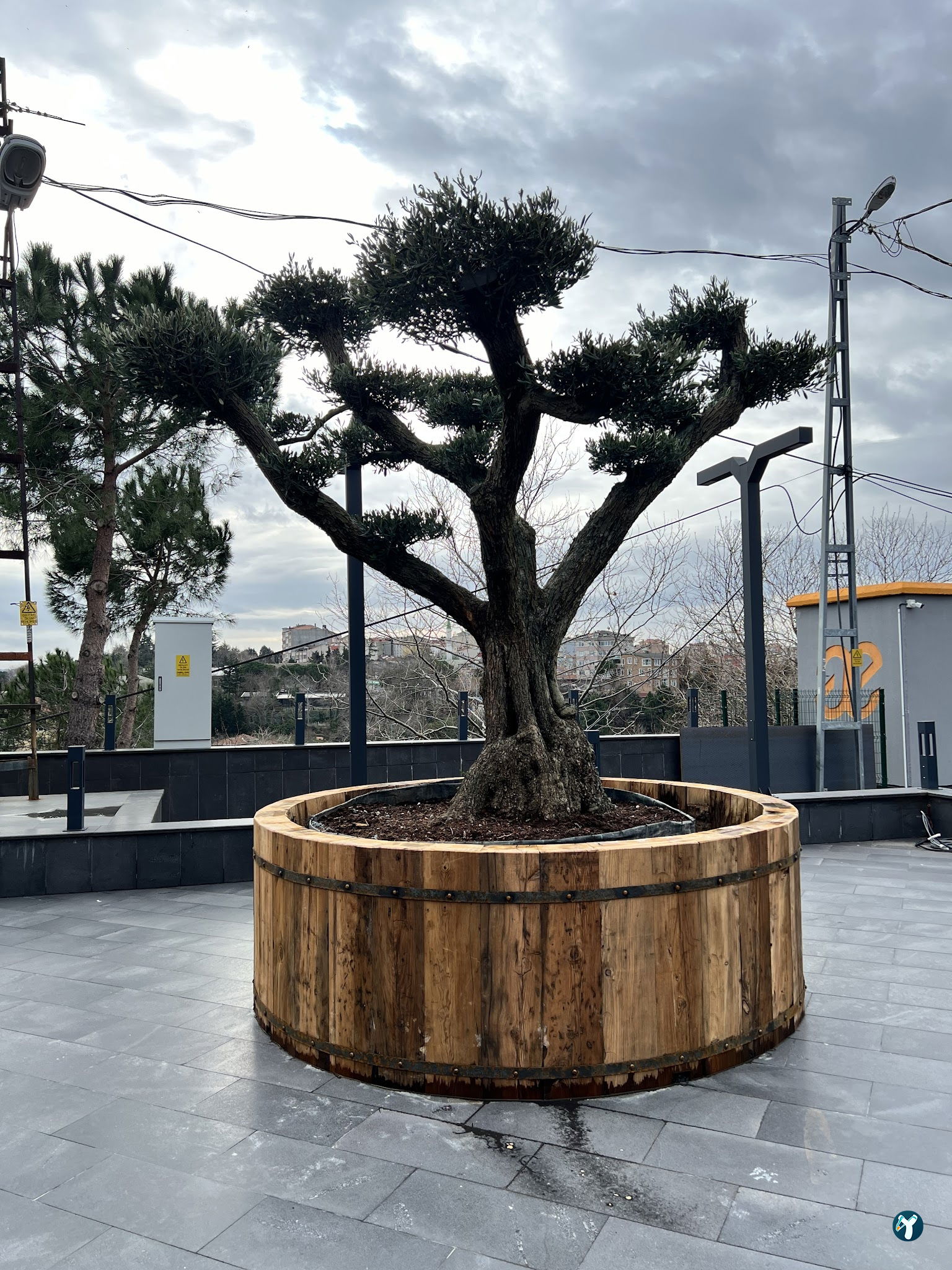 Tepe Restaurant Lounge
