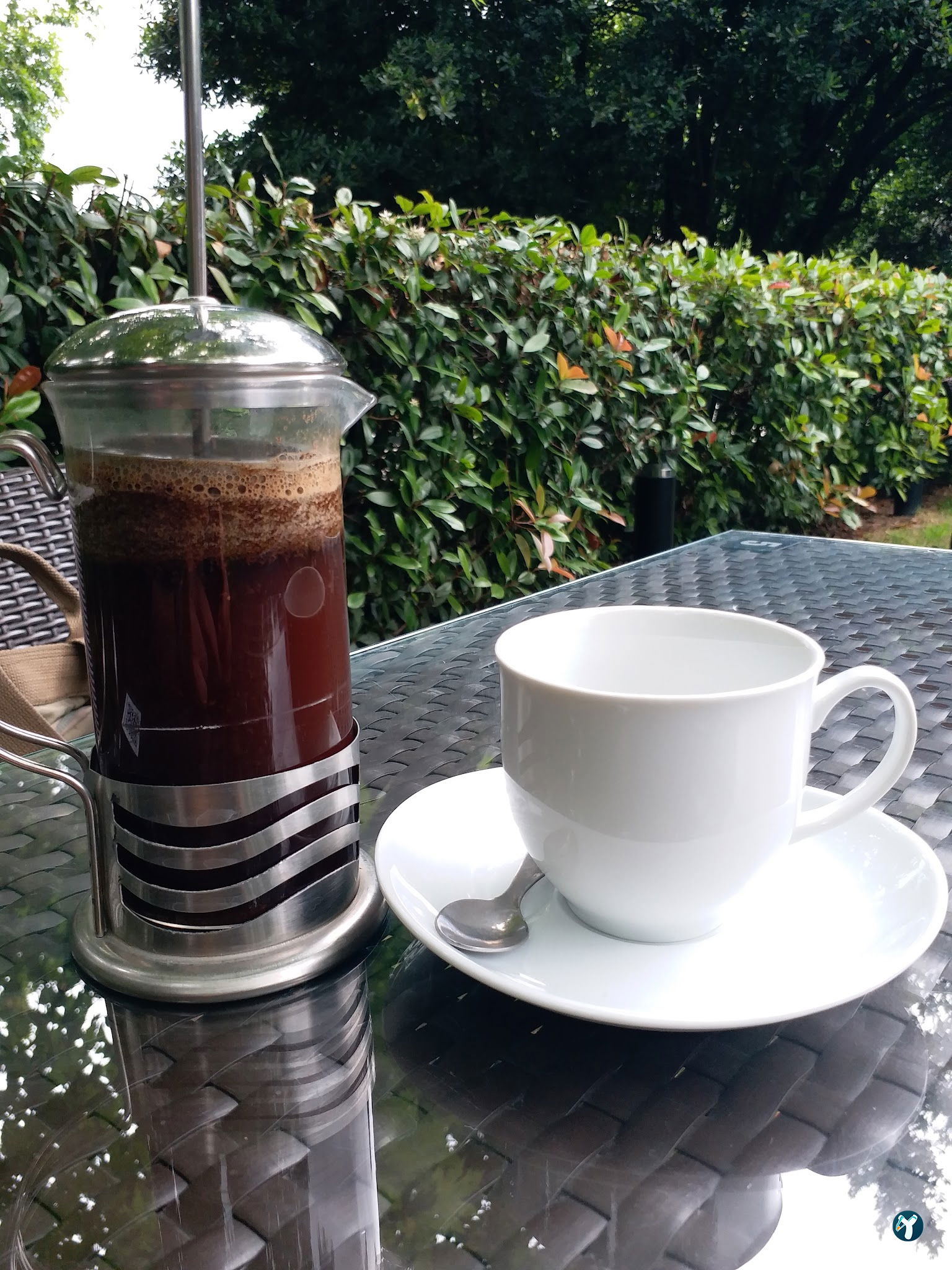 Fayton Kafe