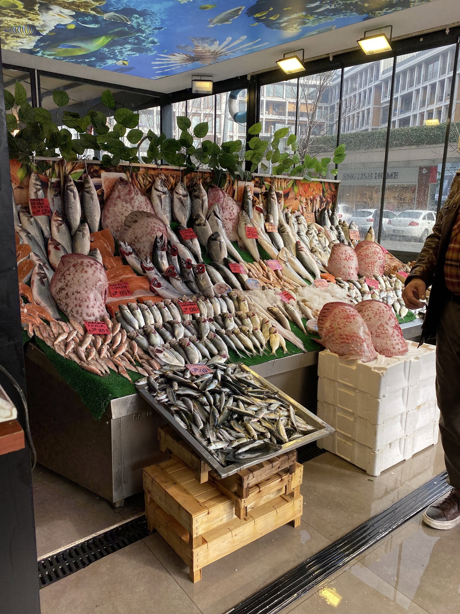 Kumkapı Balıkçısı Göktürk