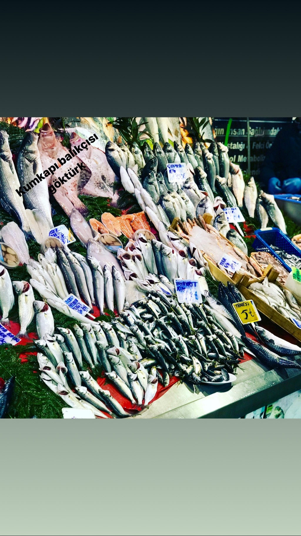 Kumkapı Balıkçısı Göktürk