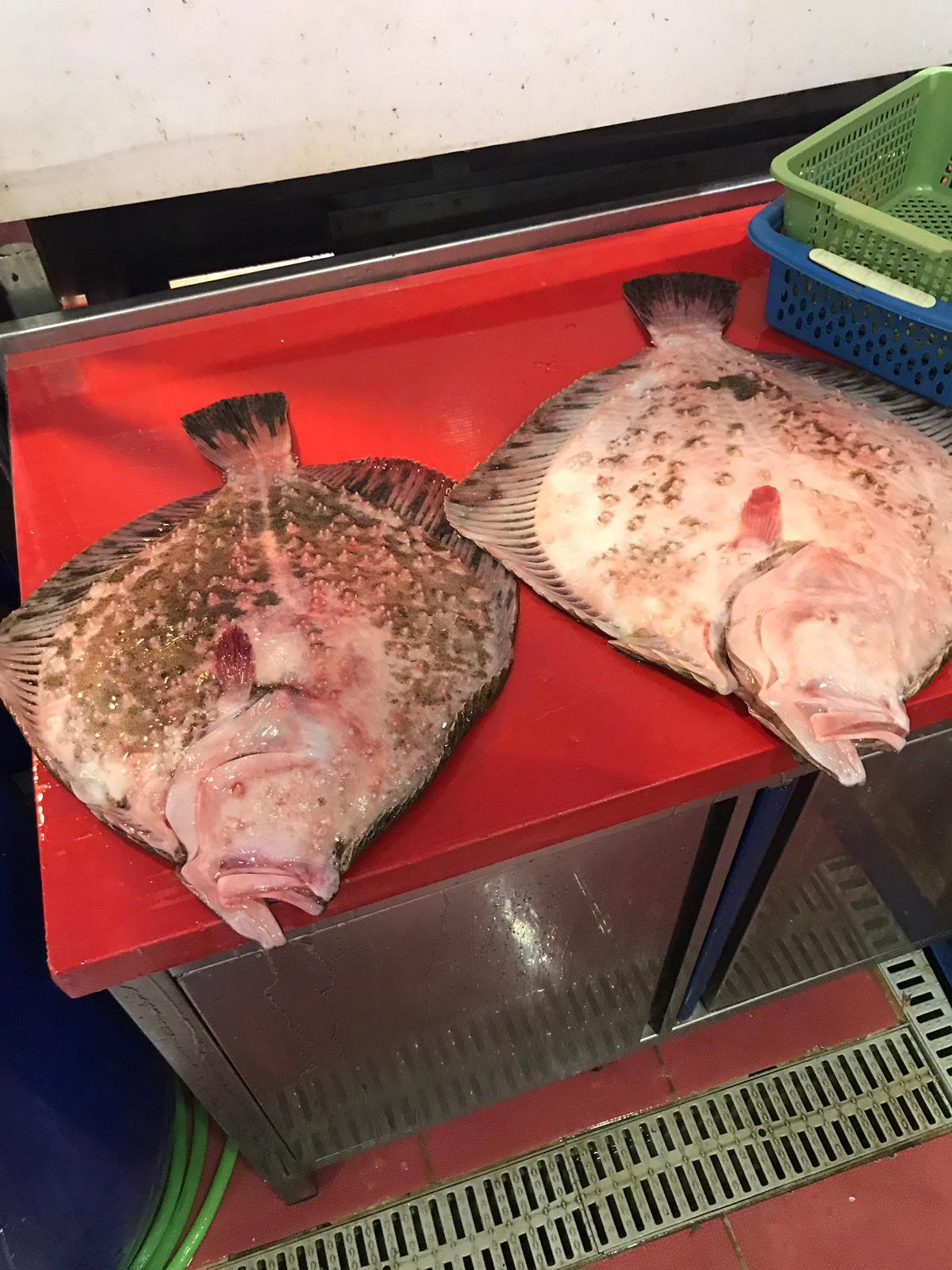 Kumkapı Balıkçısı Göktürk