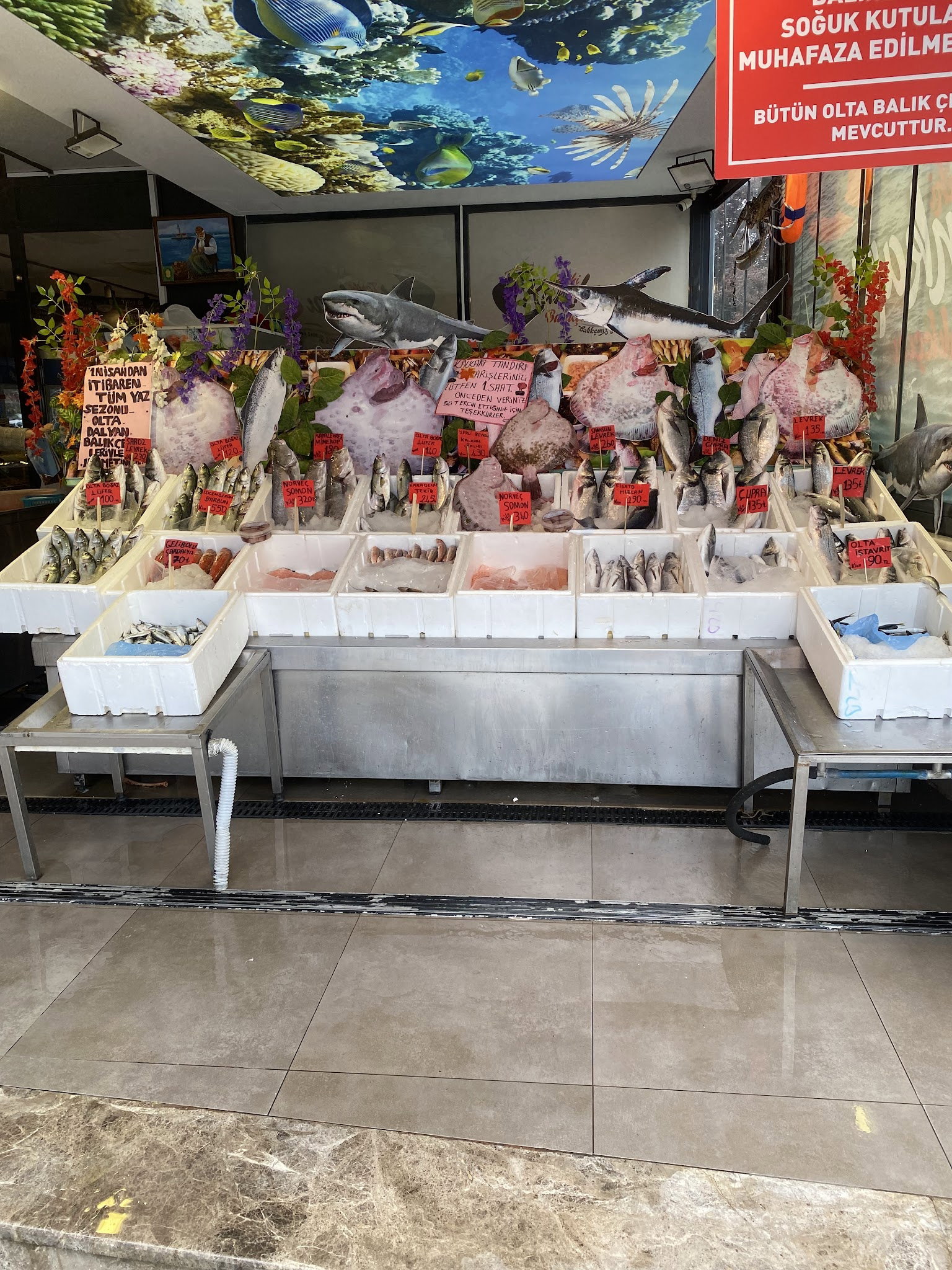Kumkapı Balıkçısı Göktürk