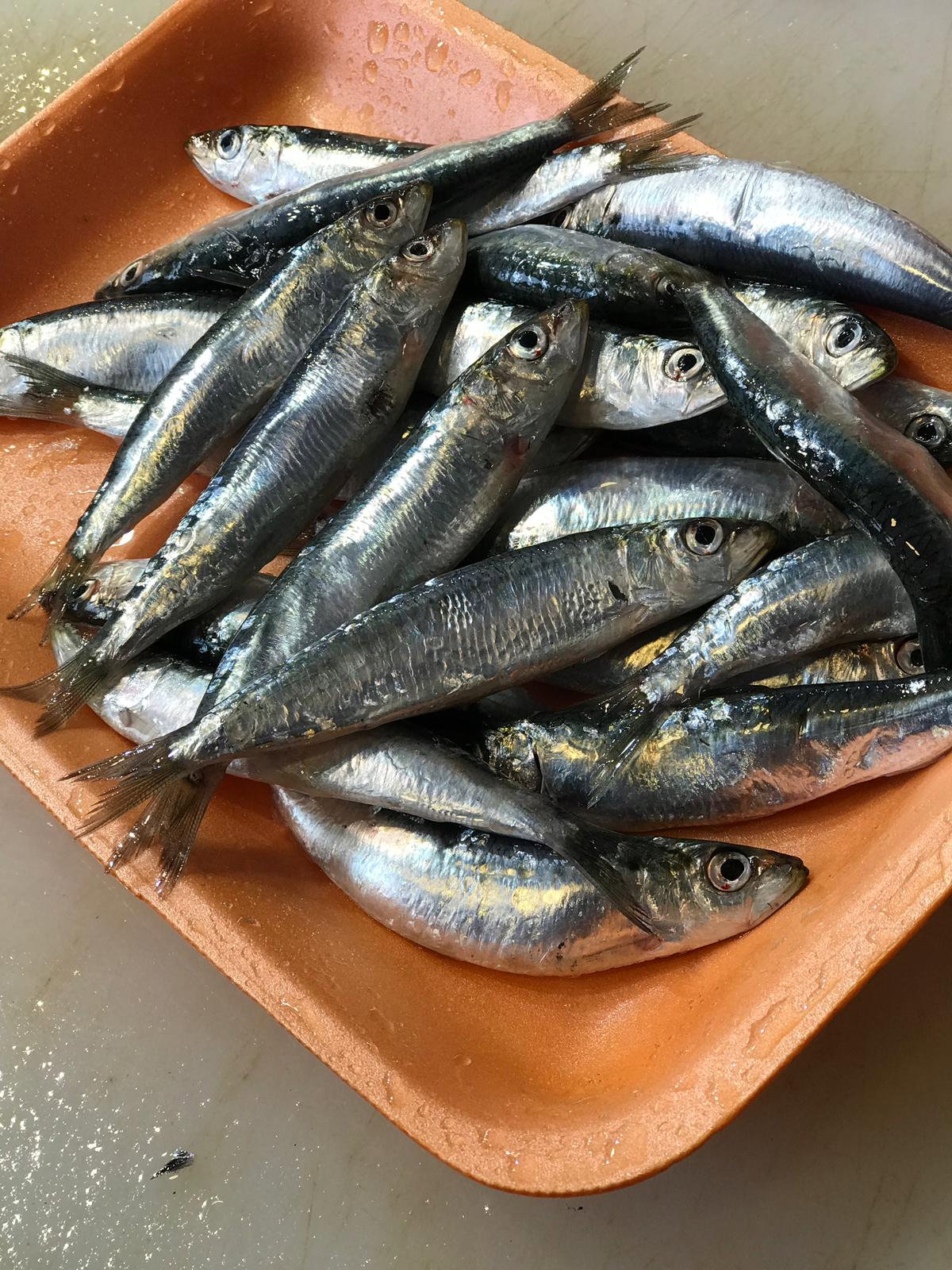 Kumkapı Balıkçısı Göktürk