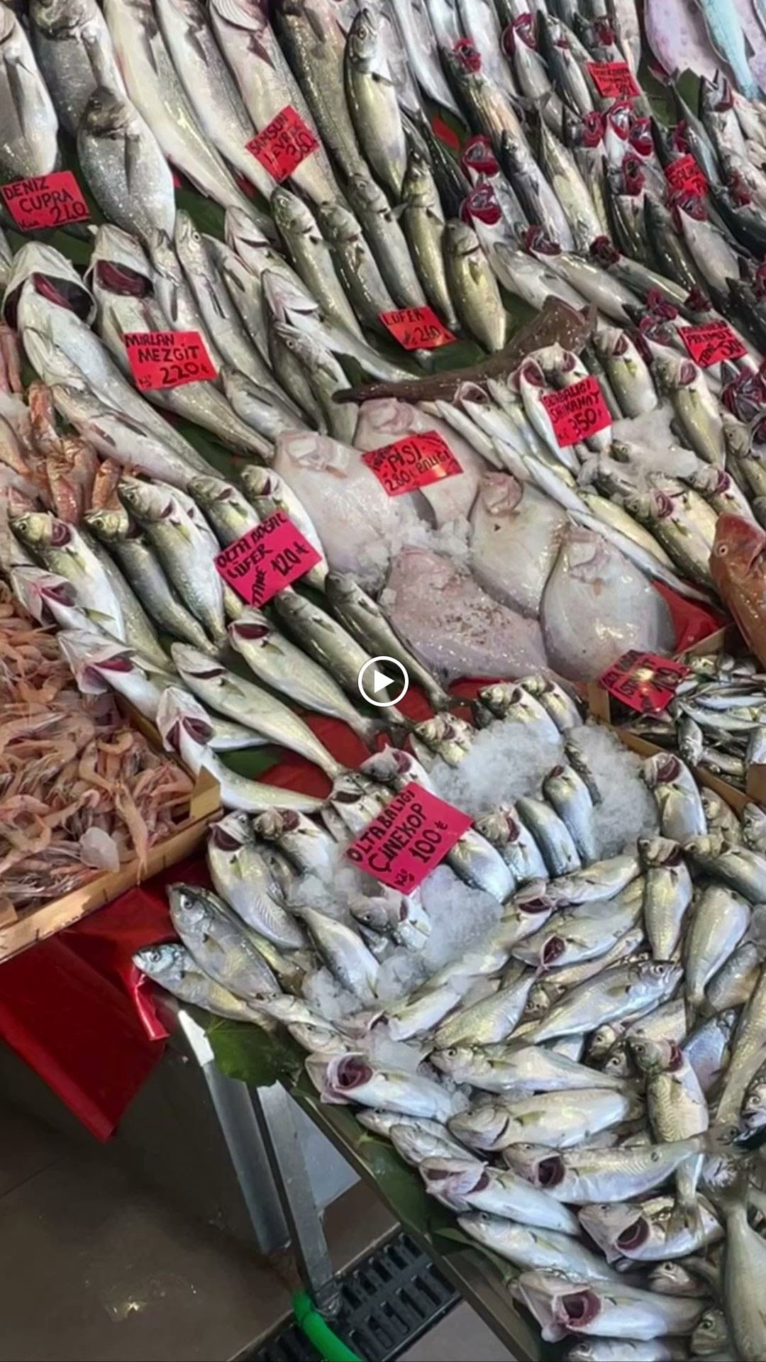 Kumkapı Balıkçısı Göktürk