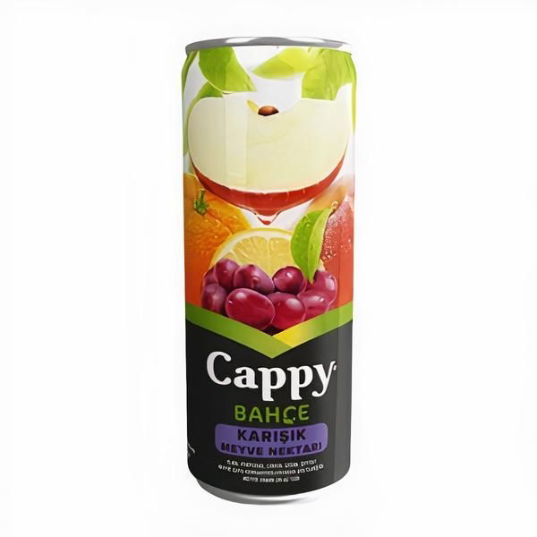Cappy (25 cl.)