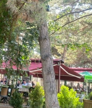 Eğriçimen İncek Izgara & Kahvalti & Et Restaurant