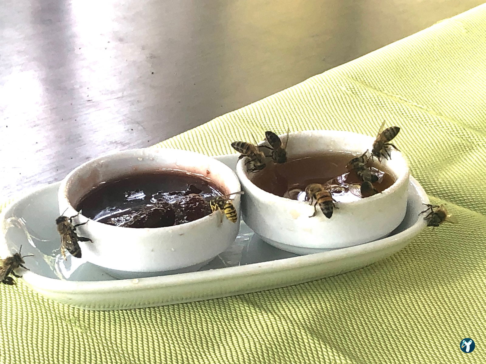 Eğriçimen İncek Izgara & Kahvalti & Et Restaurant