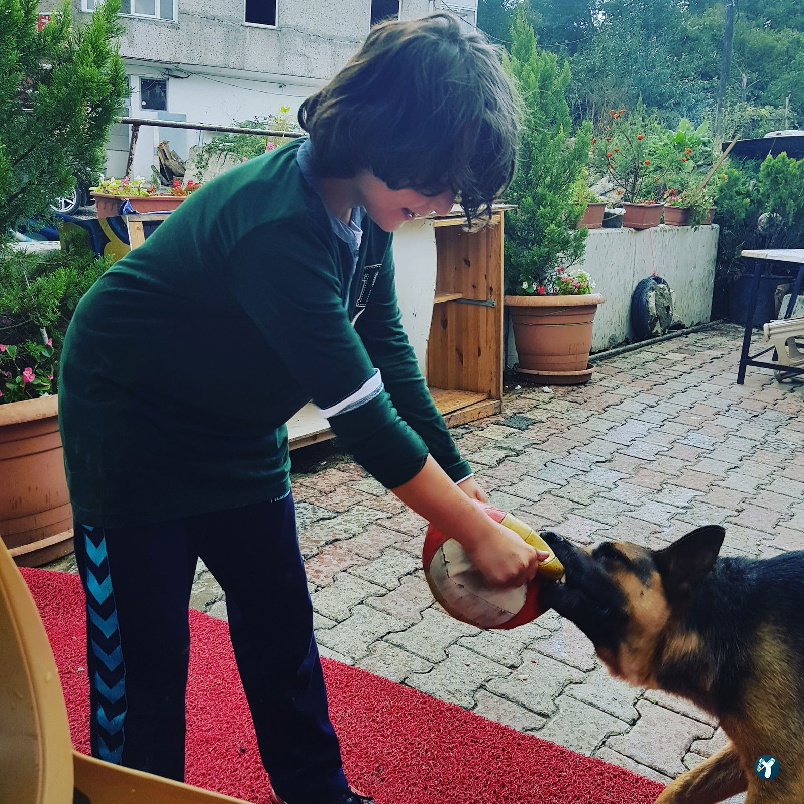 Köyüm Kafe - Köy Yumurtası - Yöresel Ürünler Manda - Keçi Yoğurdu