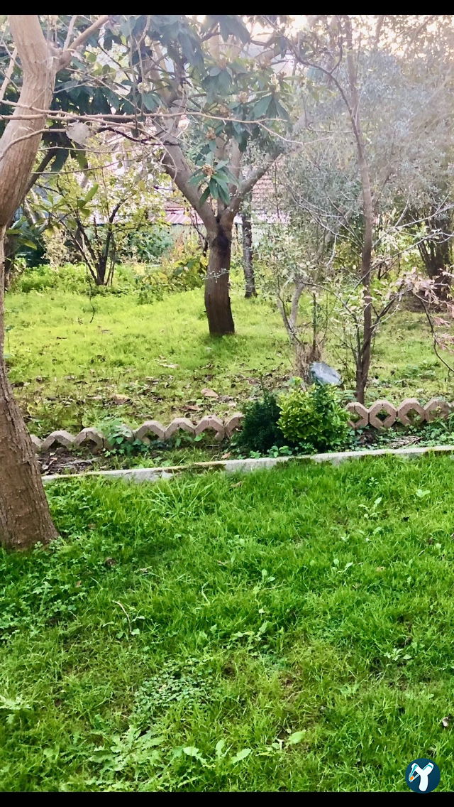 Köyüm Kafe - Köy Yumurtası - Yöresel Ürünler Manda - Keçi Yoğurdu
