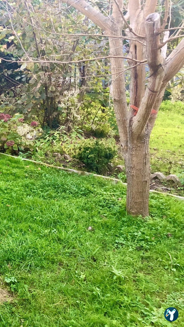 Köyüm Kafe - Köy Yumurtası - Yöresel Ürünler Manda - Keçi Yoğurdu