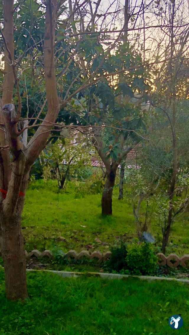 Köyüm Kafe - Köy Yumurtası - Yöresel Ürünler Manda - Keçi Yoğurdu