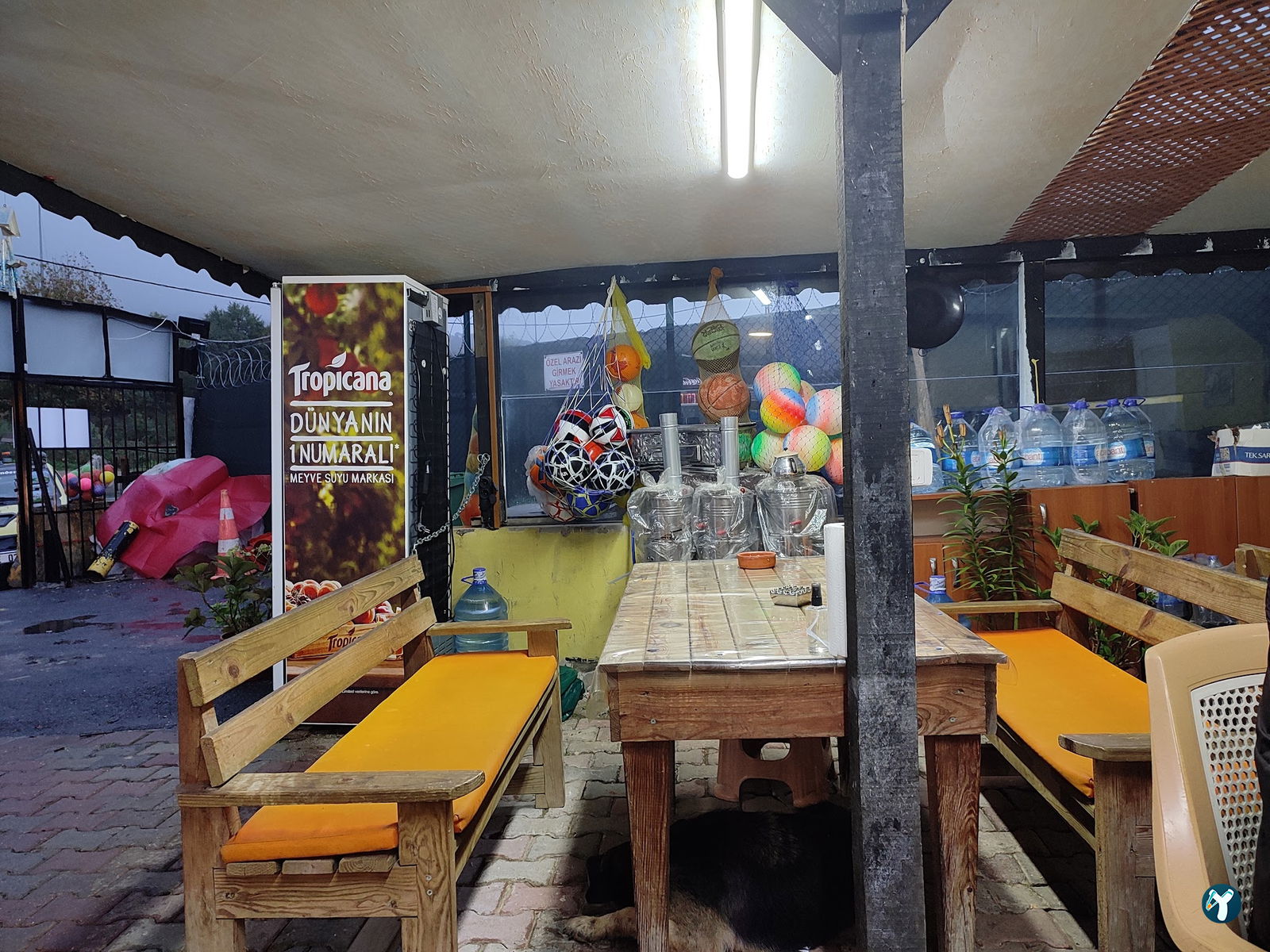 Köyüm Kafe - Köy Yumurtası - Yöresel Ürünler Manda - Keçi Yoğurdu