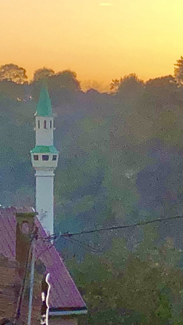 Köyüm Kafe - Köy Yumurtası - Yöresel Ürünler Manda - Keçi Yoğurdu
