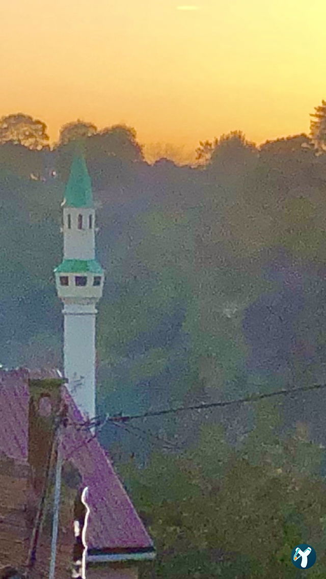 Köyüm Kafe - Köy Yumurtası - Yöresel Ürünler Manda - Keçi Yoğurdu