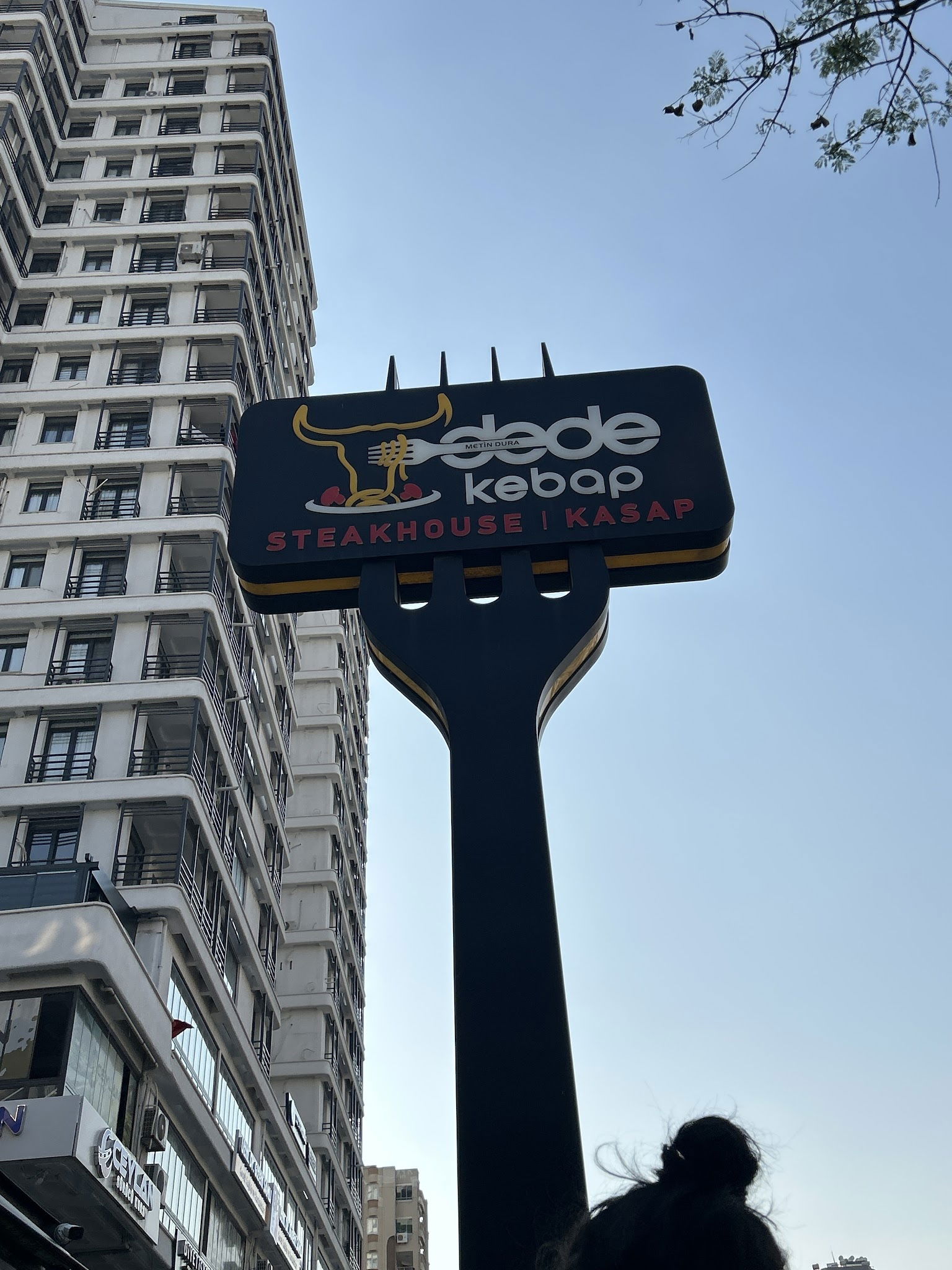 Dede Kebap Steak Kasap