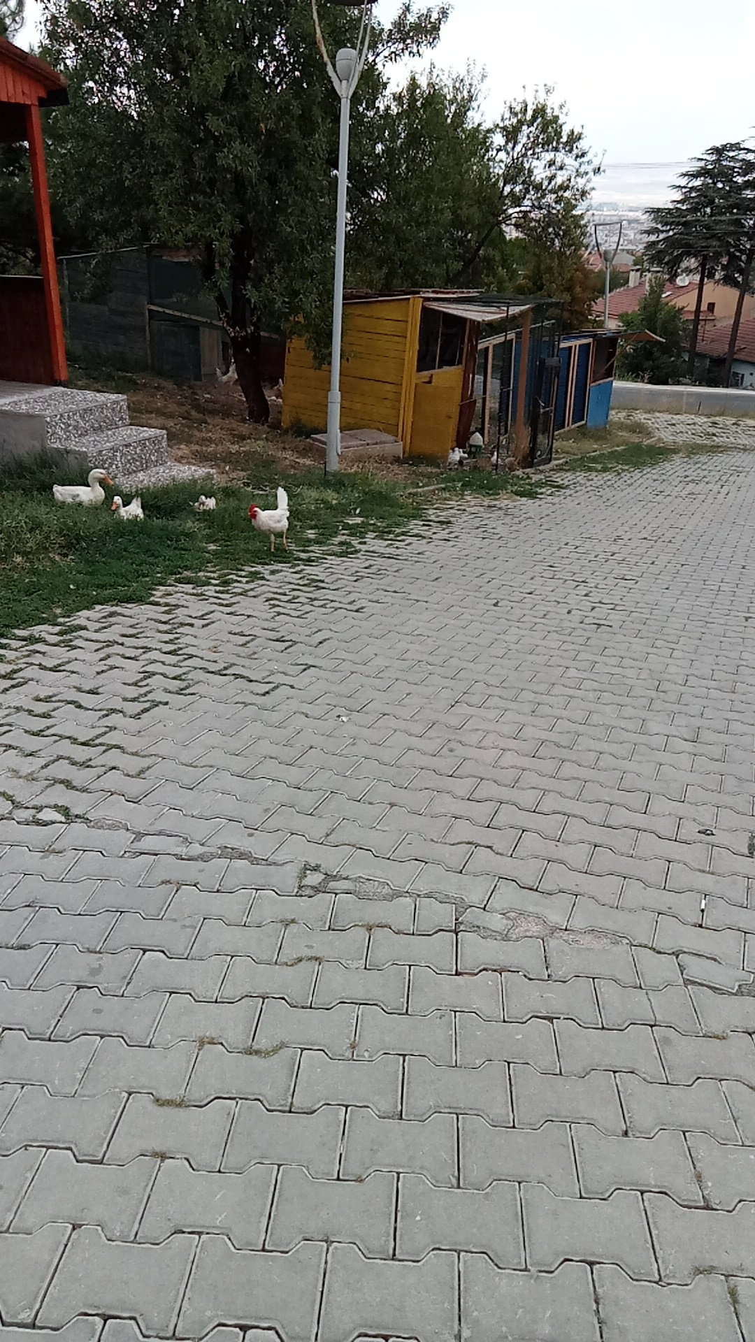 Vagon Cafe Park , Eskişehir