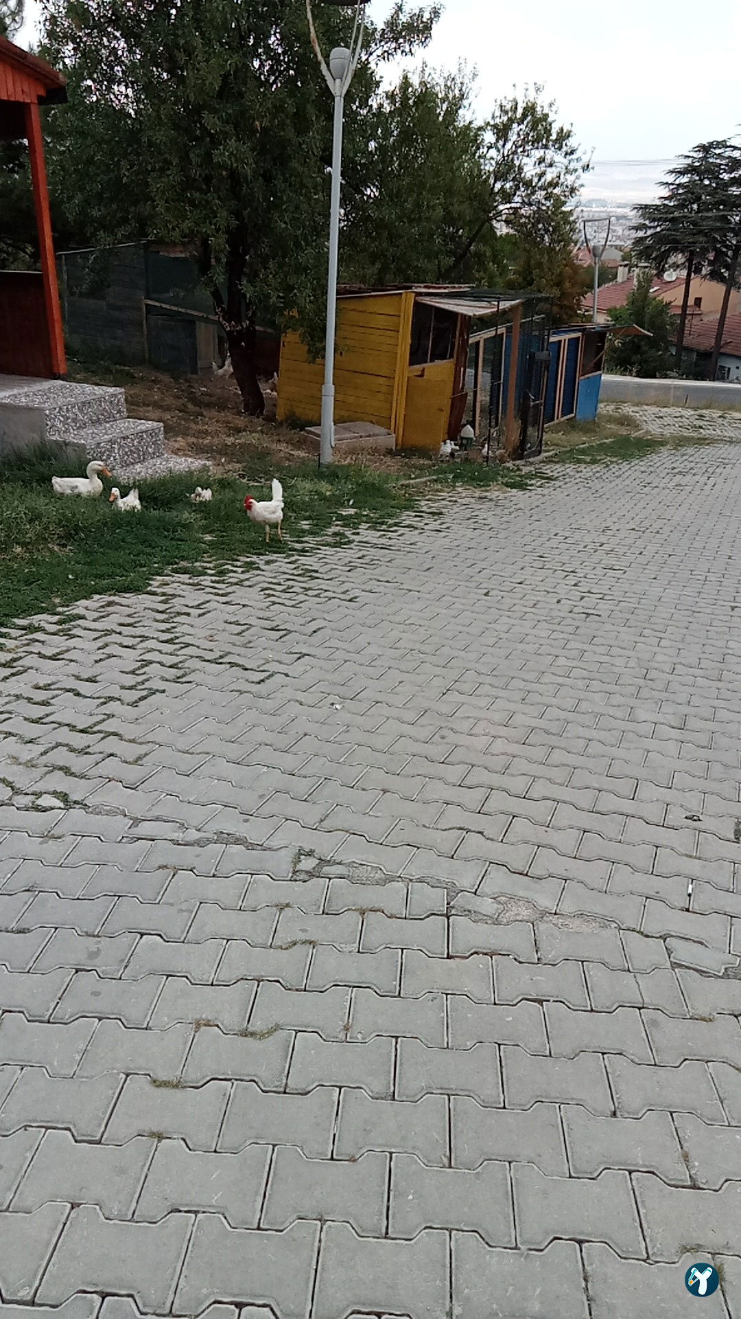 Vagon Cafe Park , Eskişehir