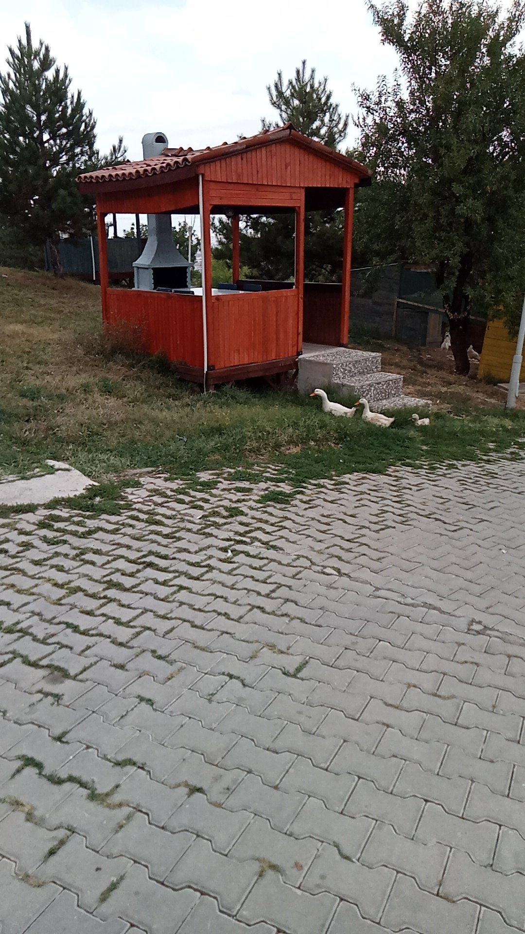 Vagon Cafe Park , Eskişehir