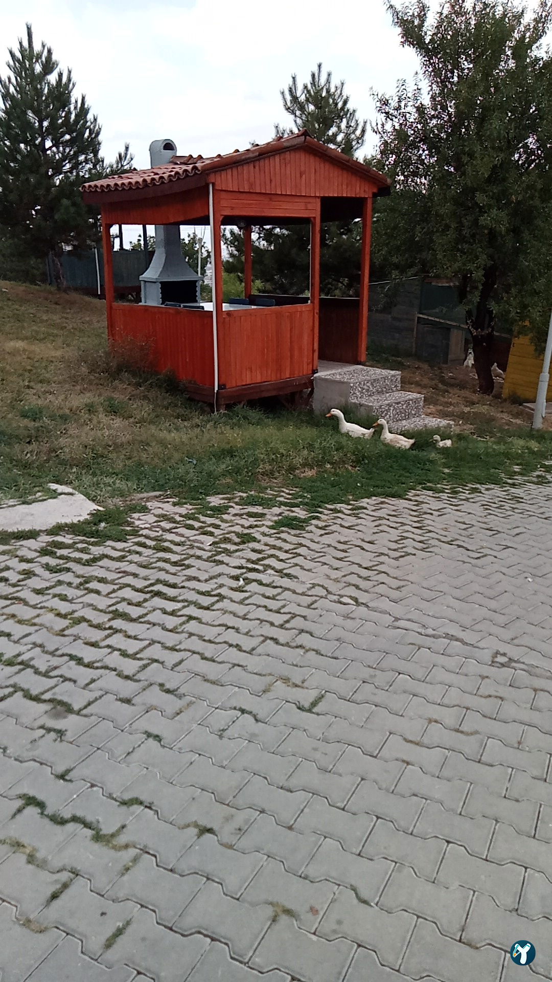 Vagon Cafe Park , Eskişehir