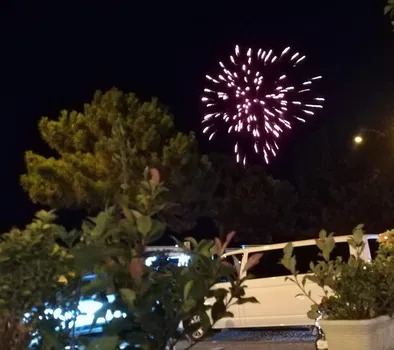Rasimin Yeri Balık Restaurant resimleri Rasimin Yeri Balık Restaurant resimleri