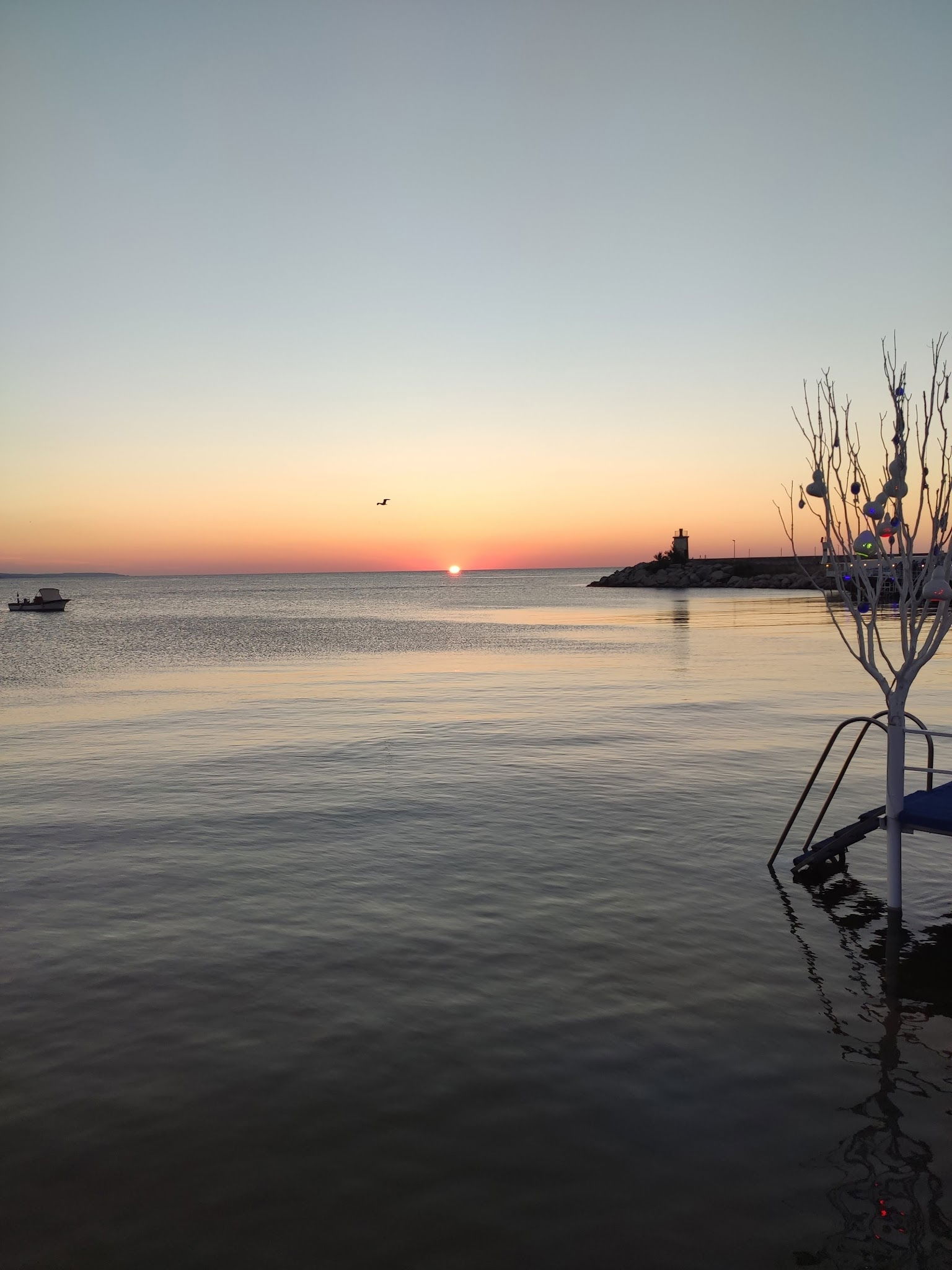 Vip Beach & Fish Restaurant