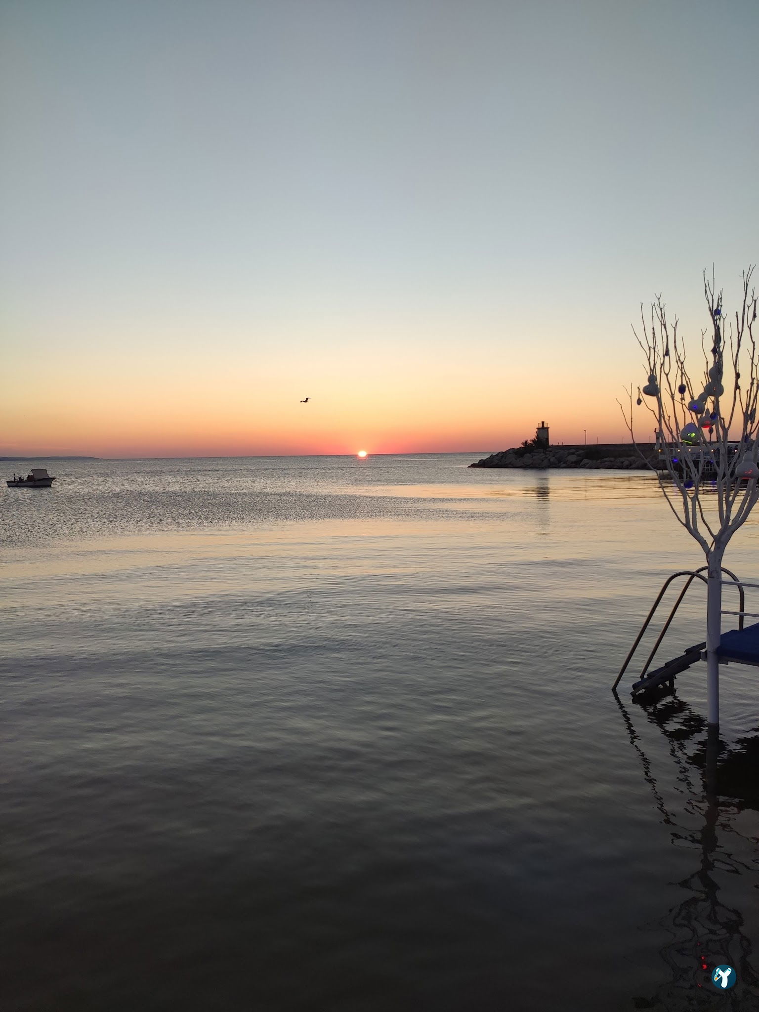 Vip Beach & Fish Restaurant