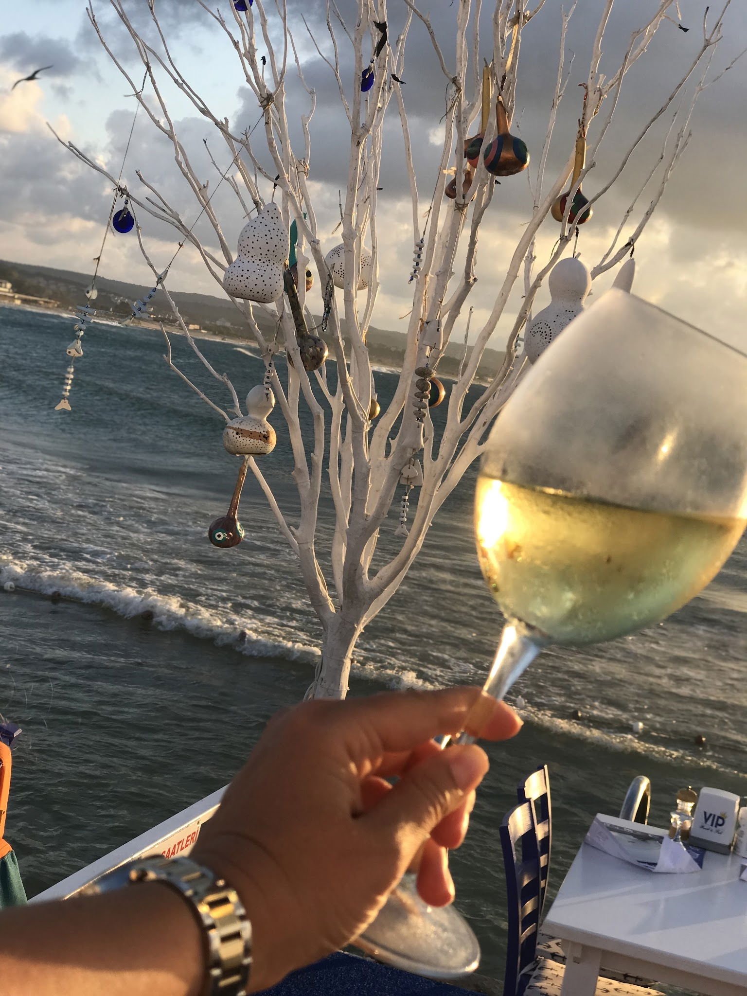 Vip Beach & Fish Restaurant