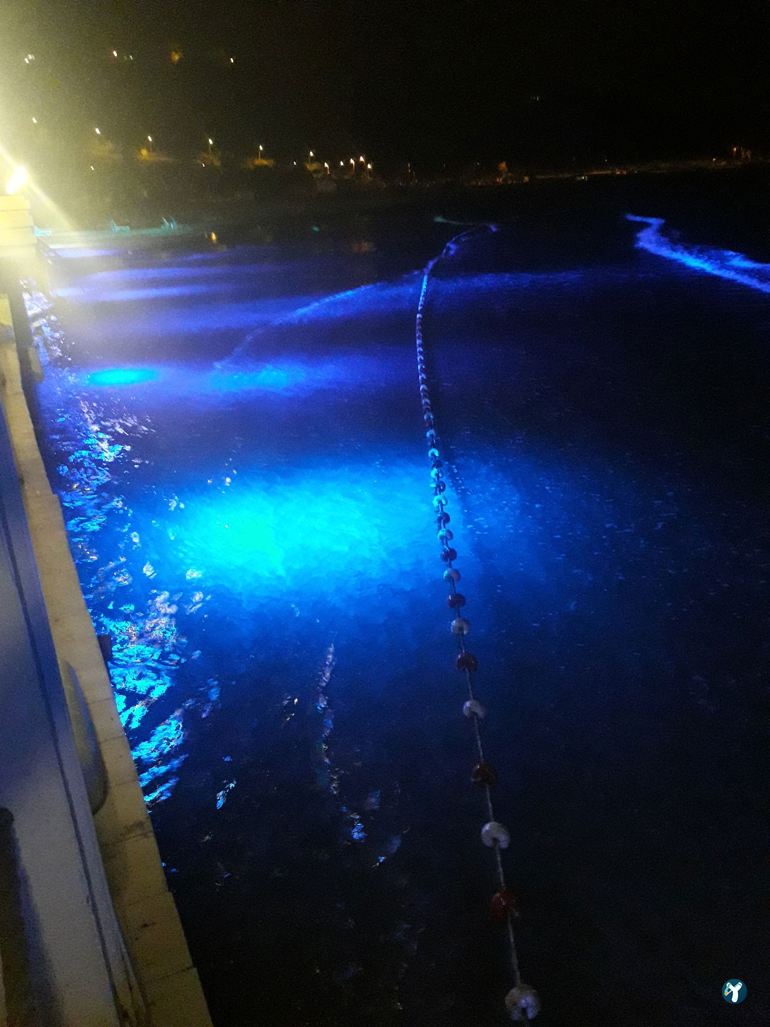 Vip Beach & Fish Restaurant