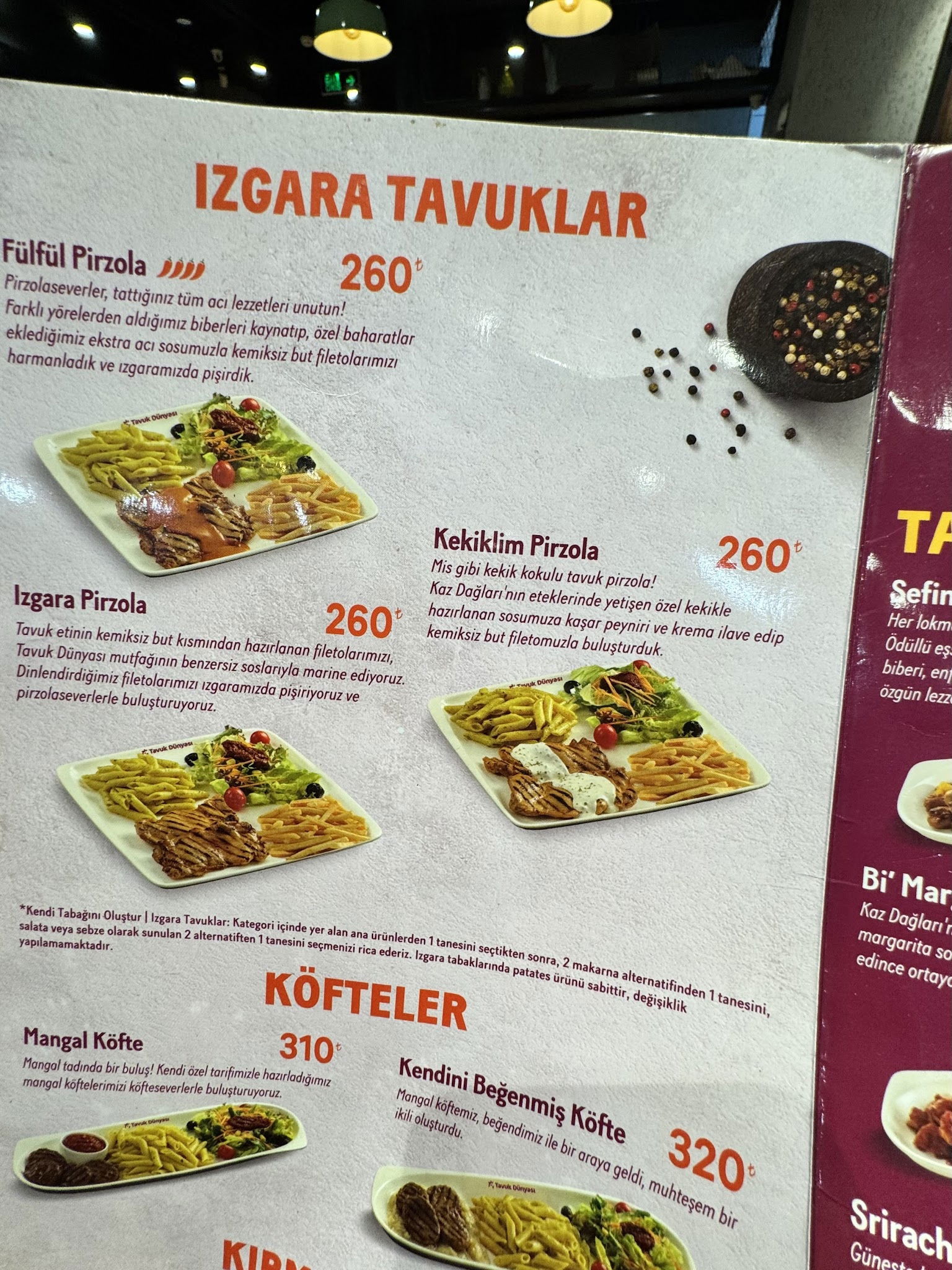 Tavuk Dünyası Gaziosmanpaşa Cadde