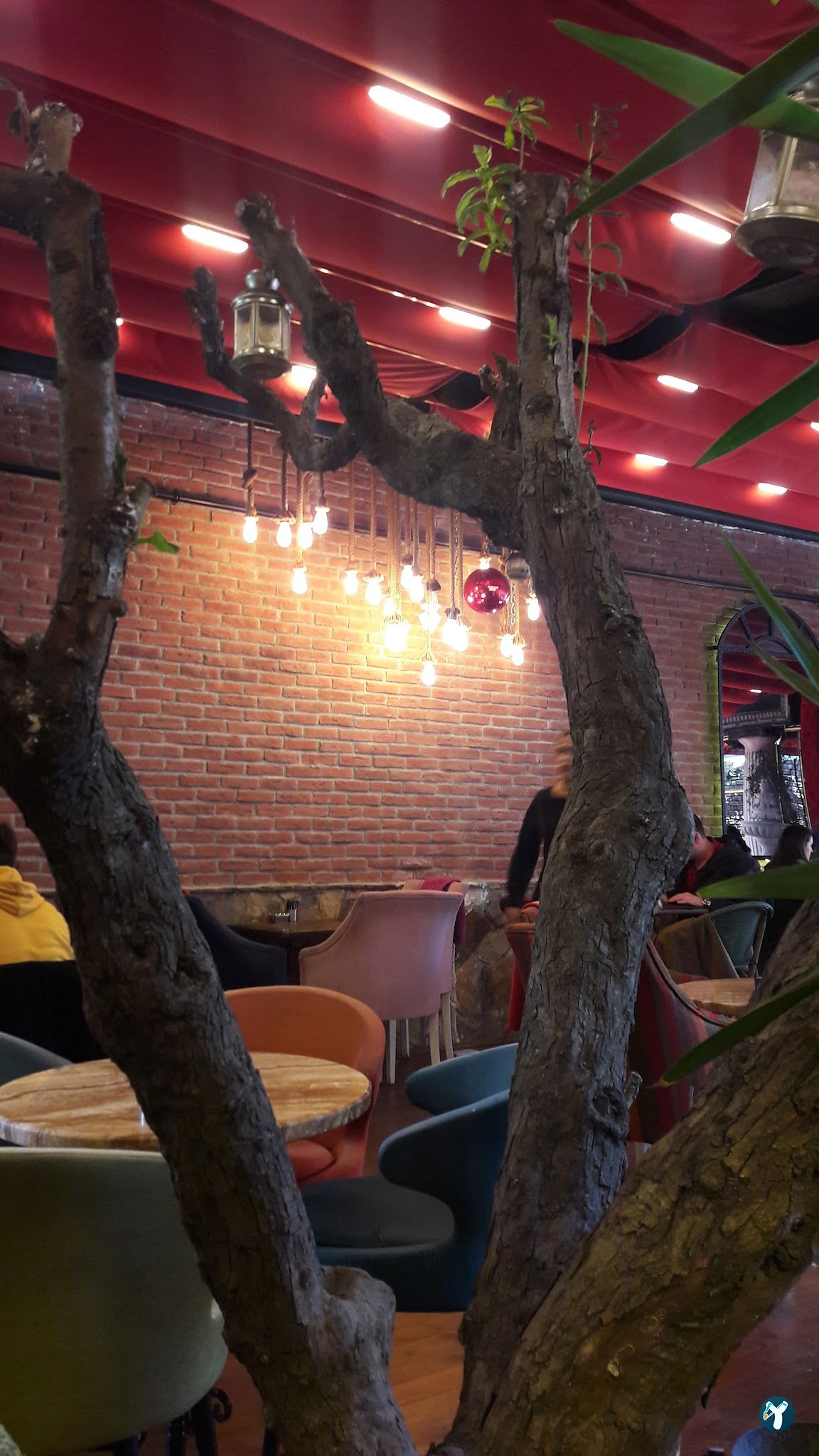 Papyon Cafe