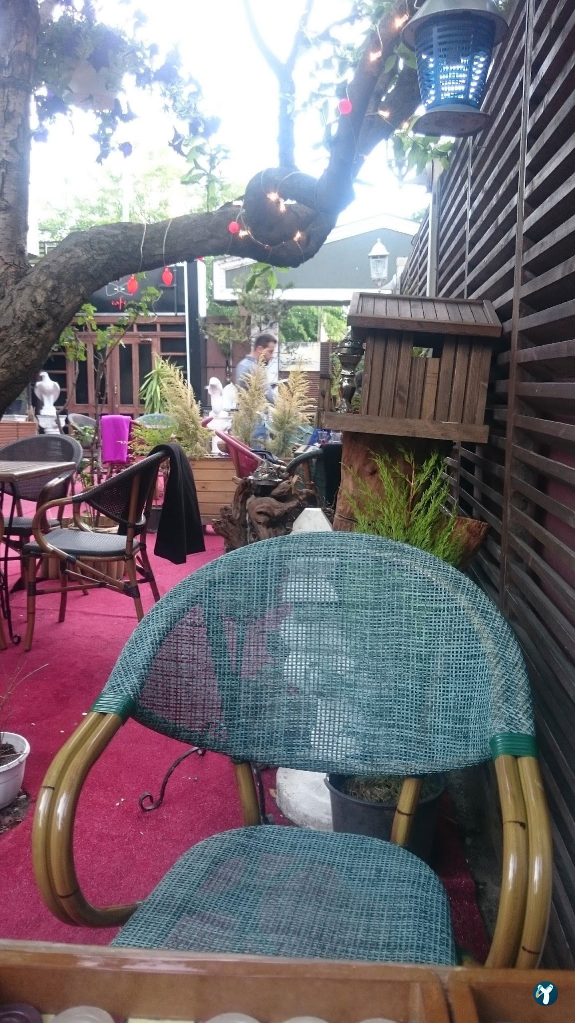 Papyon Cafe
