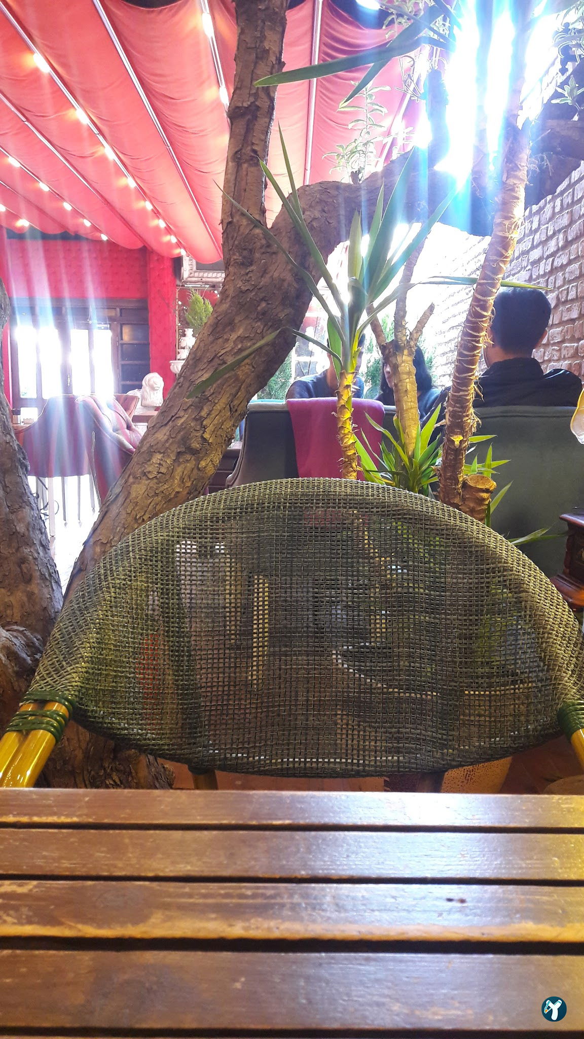 Papyon Cafe