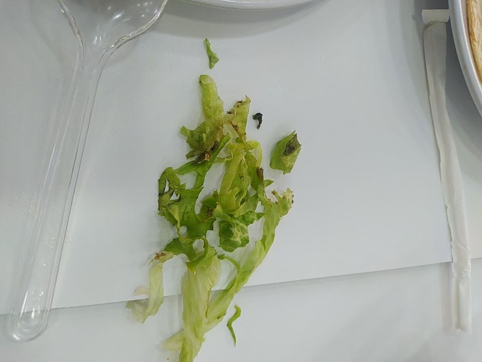 % 100 But Doner Pasa Doner