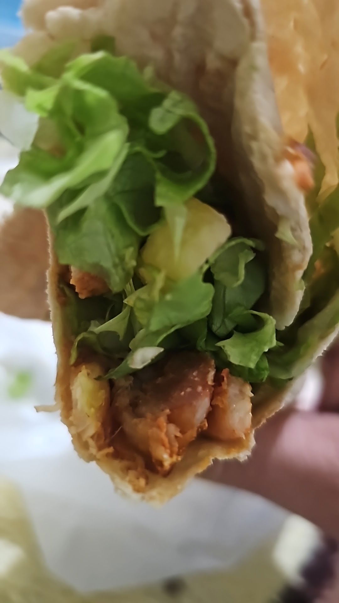 % 100 But Doner Pasa Doner